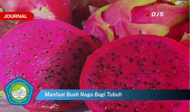 manfaat buah naga bagi tubuh