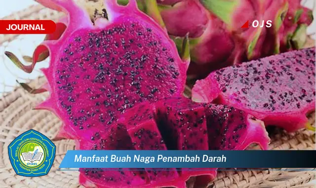 manfaat buah naga penambah darah