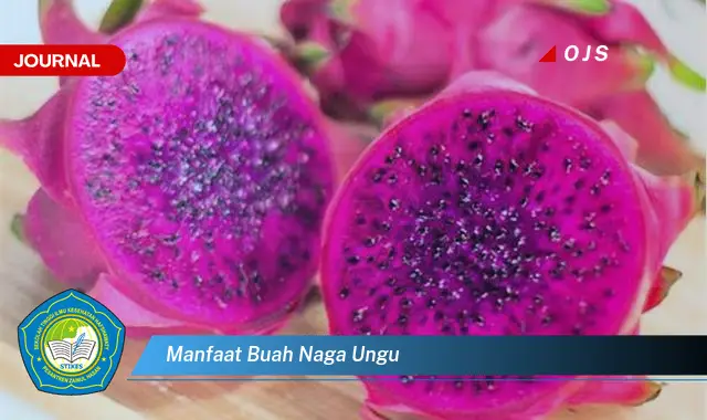 manfaat buah naga ungu