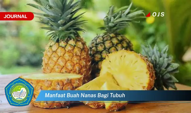 manfaat buah nanas bagi tubuh