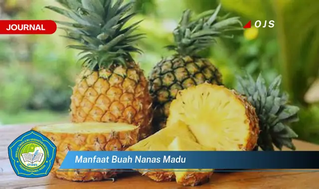 manfaat buah nanas madu