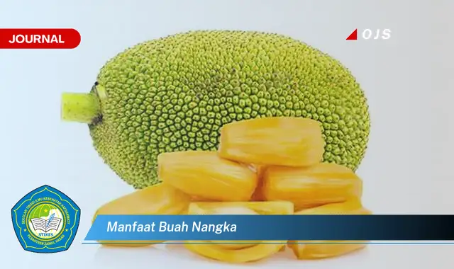 manfaat buah nangka