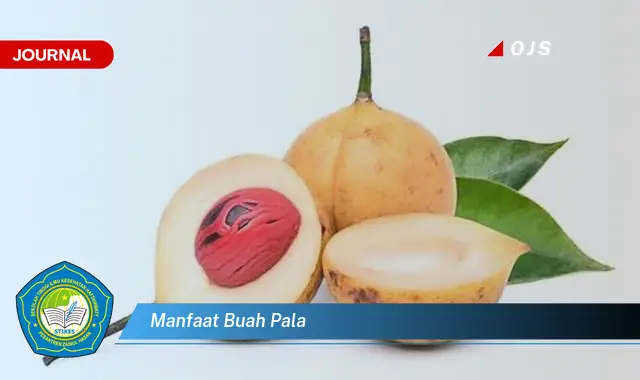 manfaat buah pala