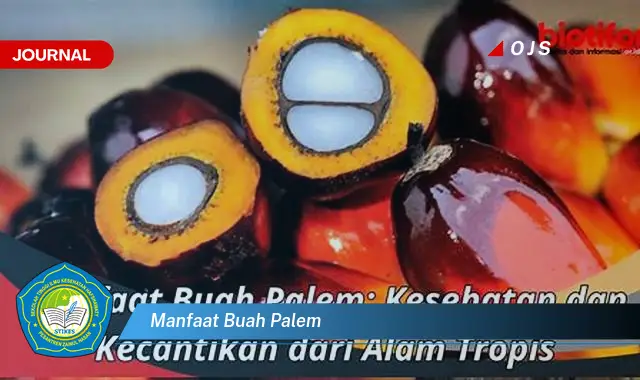 manfaat buah palem