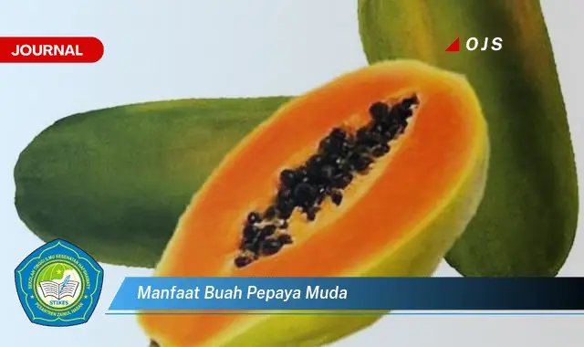 manfaat buah pepaya muda