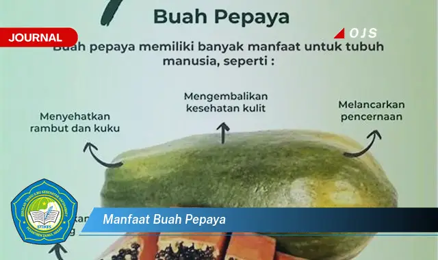 manfaat buah pepaya