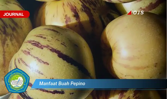 manfaat buah pepino