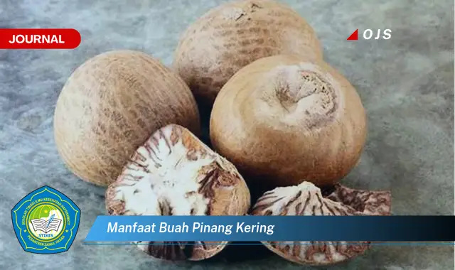 manfaat buah pinang kering