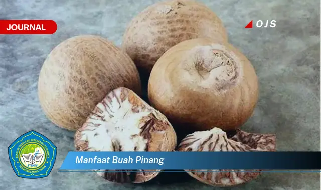 manfaat buah pinang