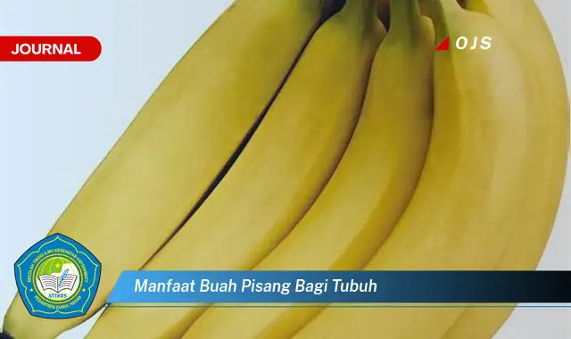 manfaat buah pisang bagi tubuh