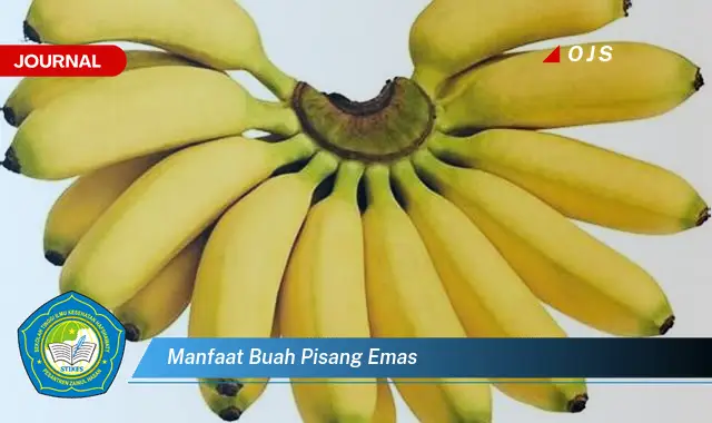 manfaat buah pisang emas