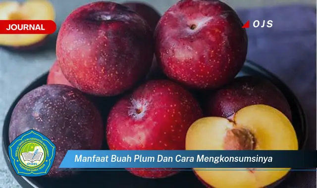 manfaat buah plum dan cara mengkonsumsinya