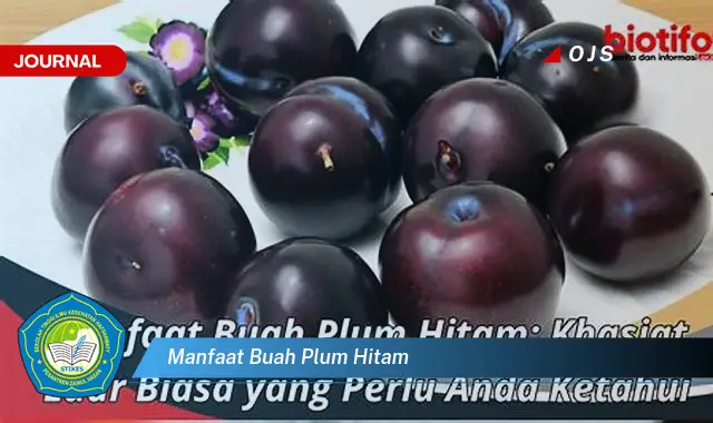 manfaat buah plum hitam