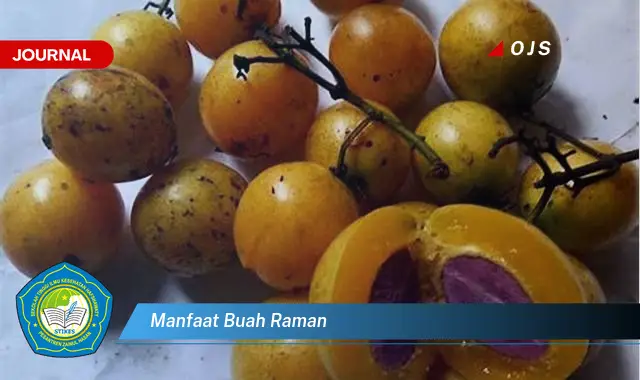 manfaat buah raman