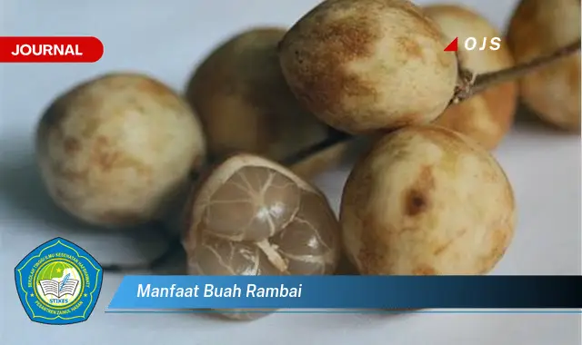 manfaat buah rambai