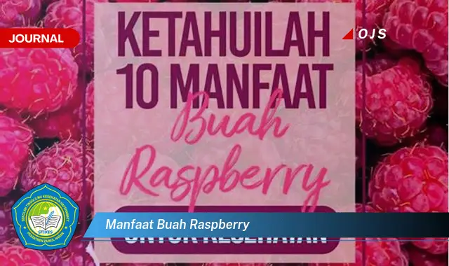 manfaat buah raspberry