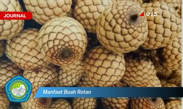 manfaat buah rotan