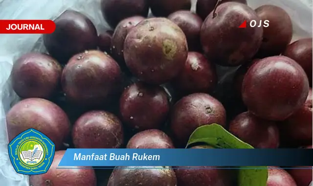 manfaat buah rukem