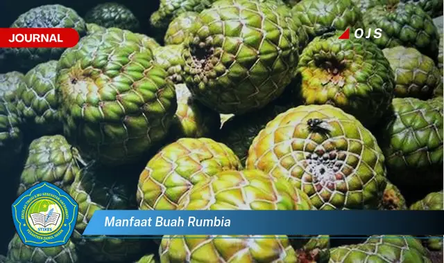 manfaat buah rumbia