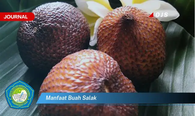 manfaat buah salak