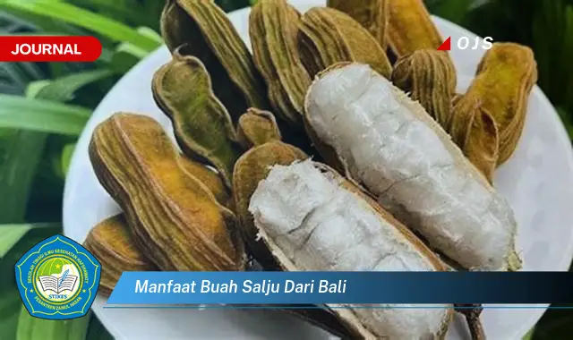 manfaat buah salju dari bali