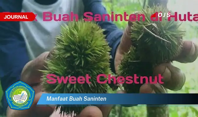 manfaat buah saninten