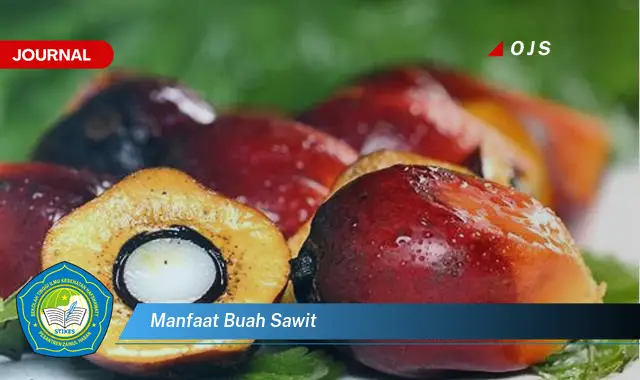 manfaat buah sawit