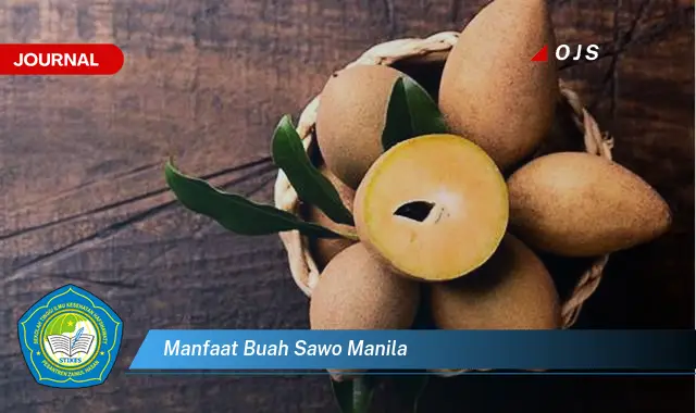 manfaat buah sawo manila