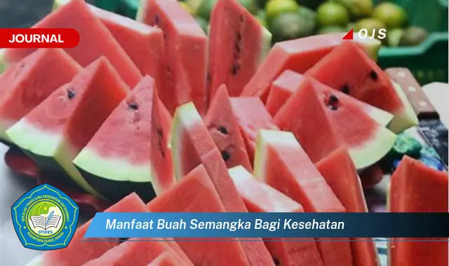 manfaat buah semangka bagi kesehatan