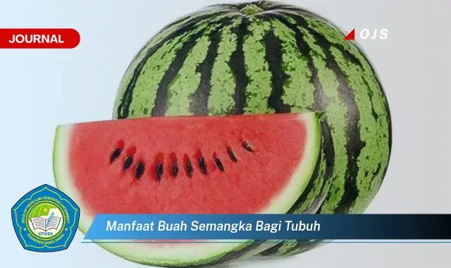 manfaat buah semangka bagi tubuh