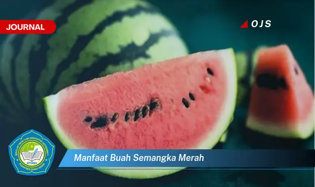 manfaat buah semangka merah