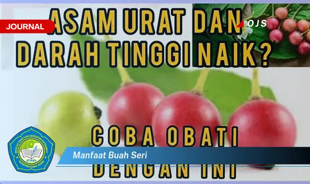 manfaat buah seri manfaat buah seri