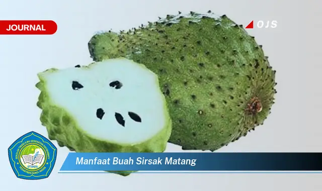 manfaat buah sirsak matang