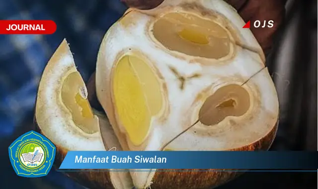 manfaat buah siwalan