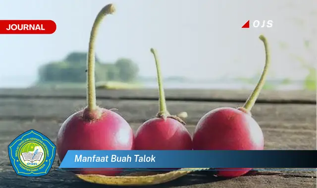 manfaat buah talok