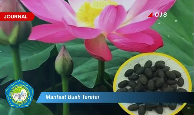 manfaat buah teratai