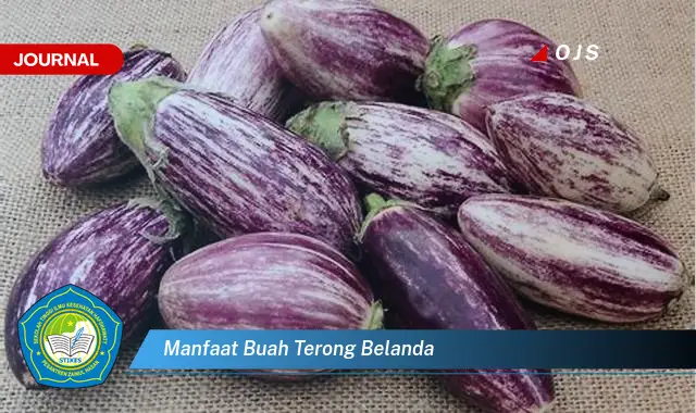 6 Manfaat Buah Terong Belanda yang Wajib Kamu Intip - E-Journal