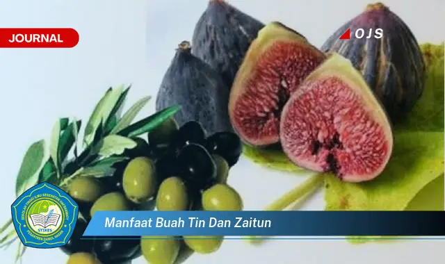 manfaat buah tin dan zaitun