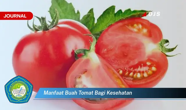 manfaat buah tomat bagi kesehatan