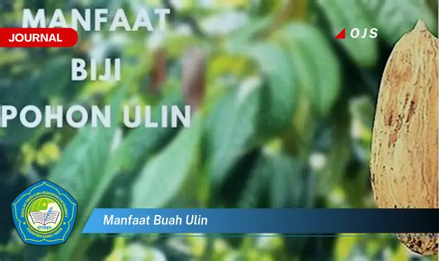 manfaat buah ulin