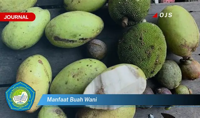 manfaat buah wani