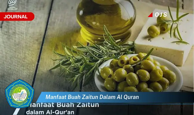 manfaat buah zaitun dalam al quran