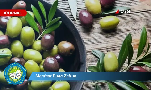 manfaat buah zaitun