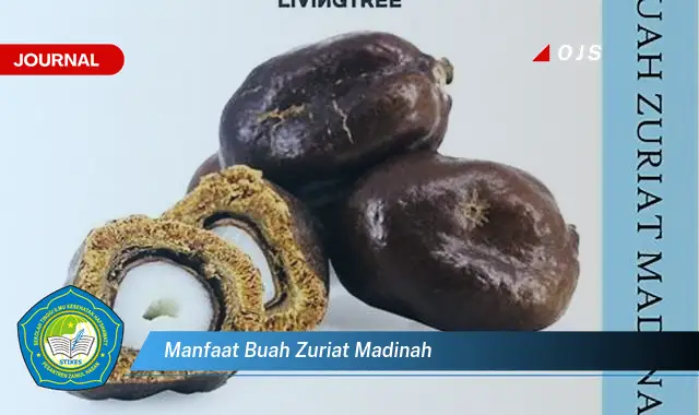 manfaat buah zuriat madinah