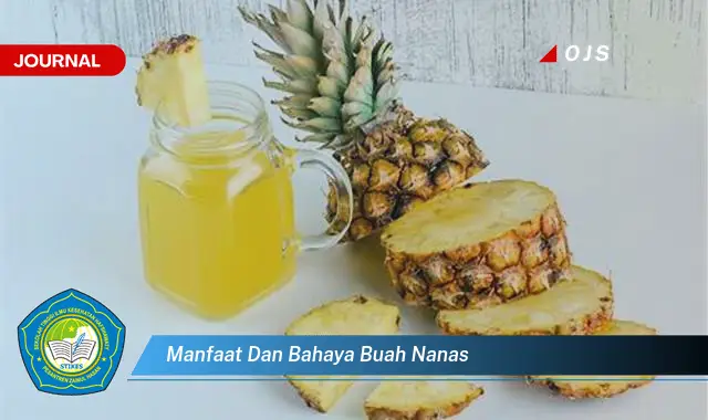 manfaat dan bahaya buah nanas manfaat dan bahaya buah nanas