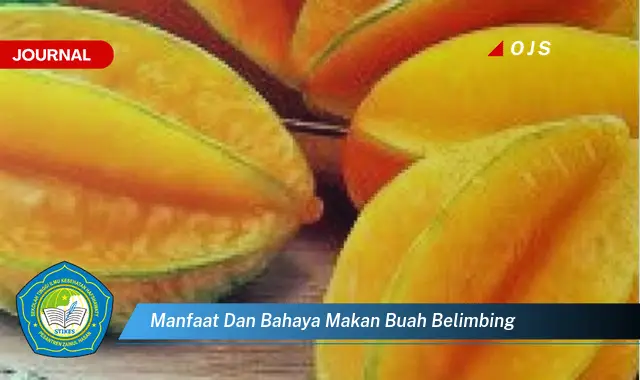 manfaat dan bahaya makan buah belimbing