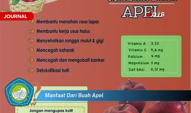 manfaat dari buah apel