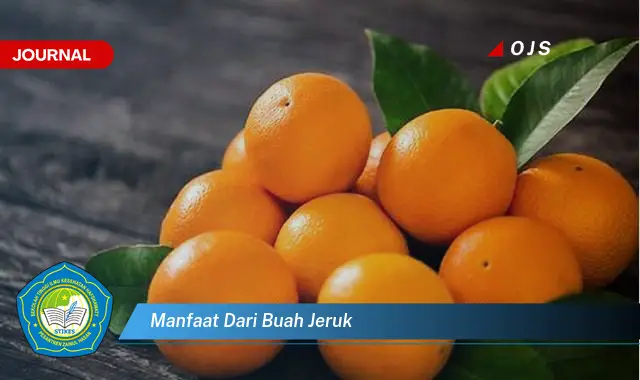 manfaat dari buah jeruk