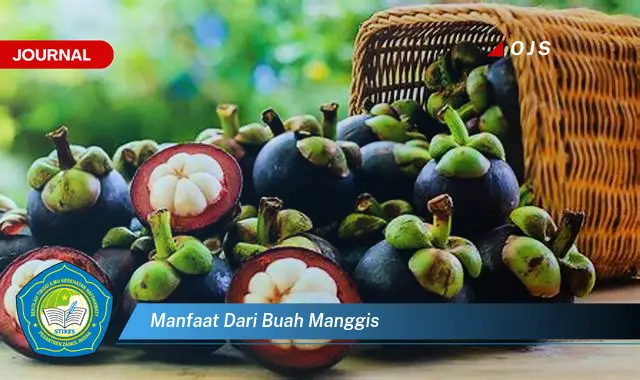 manfaat dari buah manggis