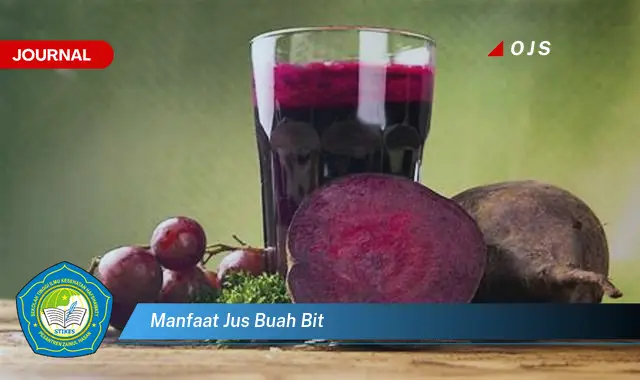 manfaat jus buah bit